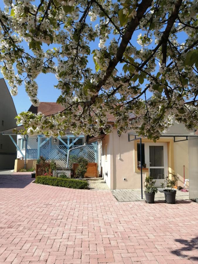 Anna Vendeghaz Apartment Keszthely Exterior photo